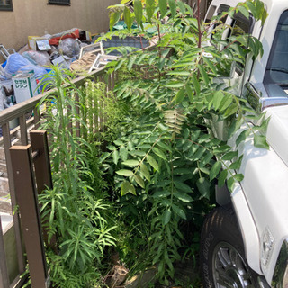 草刈り　やり切りで5000円