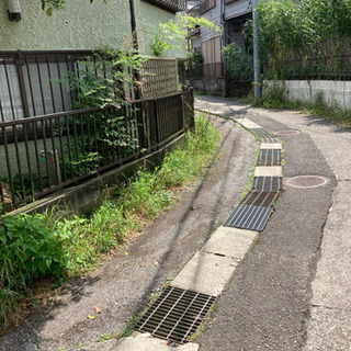 草刈り　やり切りで5000円の画像