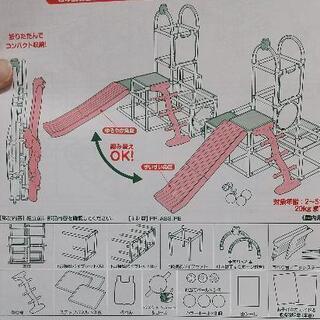 しまじろうのわくわくぼうけんじまの画像