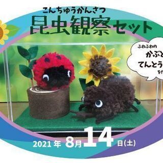 ［夏休みおたすけワークショップ］昆虫観察セットづくり