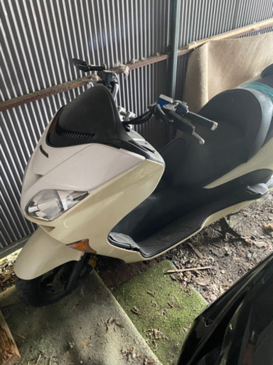 決まりましたHONDA mf08 フォルツァ