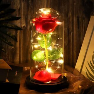 枯れない 赤いバラの LED 照明☆プレゼントに！