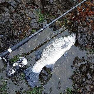 釣り友達募集しております