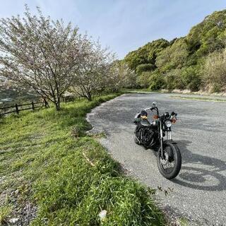 !!!レブル!!!　旧型 MC13 ホンダレブル　アメリカン　売ります
