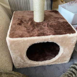キャットタワーの画像