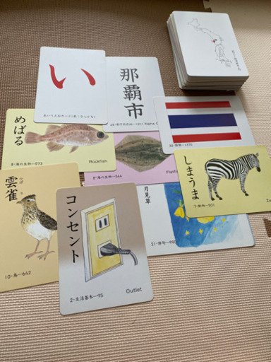 来週末処分予定　未使用　美品　家庭保育園　絵カード　100枚