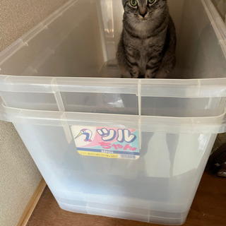 衣装ケース蓋なし×2