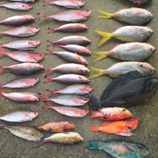 沖釣り2名募集  7/18日曜日 船賃5000円