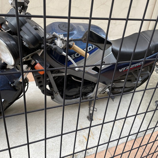 VTZ250保険1年あり、