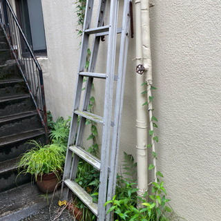 大きい脚立