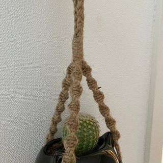 ミニプラントハンガー：サボテン猫ちゃんの画像