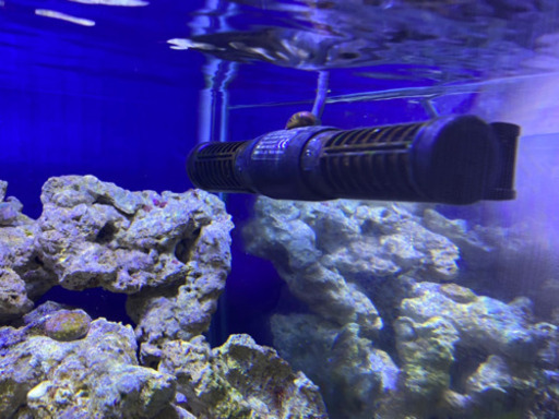 海水フルセット