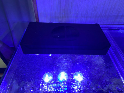 海水フルセット