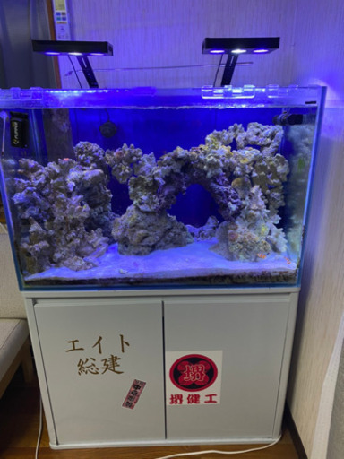 海水フルセット