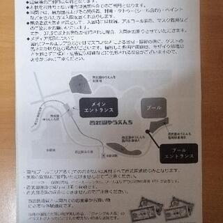 7/10 7/11 お手渡し！　1枚　2名　バラ売り可能　　西武園ゆうえんち　プール　先行体験会　招待券の画像