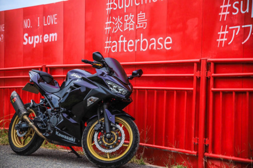 ⭐︎カワサキ　ニンジャ250 2018年製⭐︎ 自賠責あり！美車！低走行！