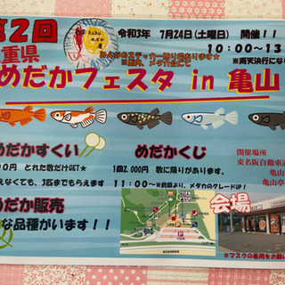 めだかフェスタin亀山‼️