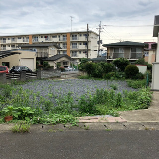 草むしり