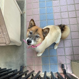 幸せにしてください🙏