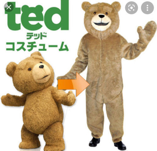 Ted  着ぐるみ