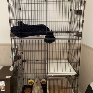 アイリスオーヤマ　猫　キャット　ケージ　3段　2段の画像