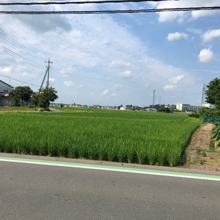 使ってない田、山林、畑をください！買取させてください！