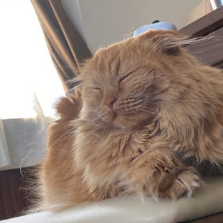 ゆるく仲良くできるお友達🥰 - 友達