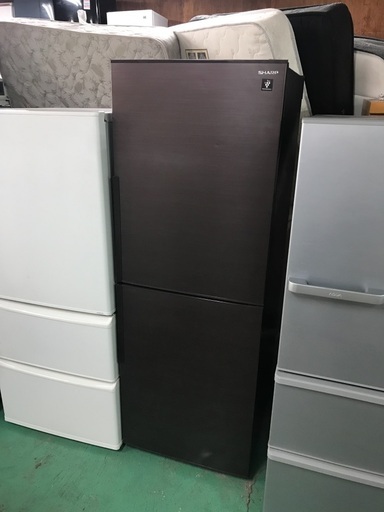 2019 Sharp 280L- 無料配達