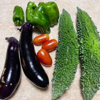 夏野菜