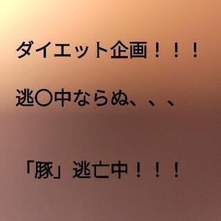 8月7日！鬼ごっこ！