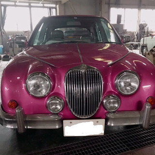 光岡自動車ビュート　綺麗なピンクです。