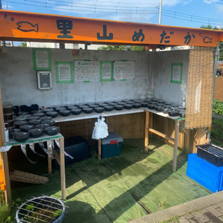 里山公園前のメダカ無人販売所　里山めだか　7/10