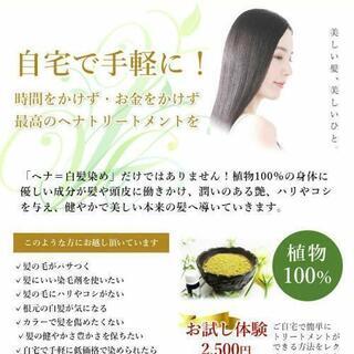 一回で三回分美髪になれる！セルフヘナトリートメント体験教室🌿
