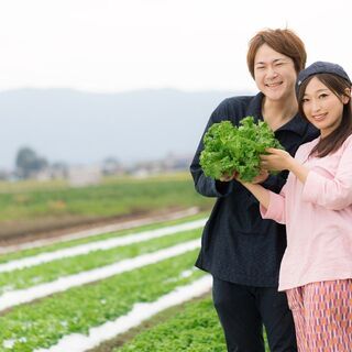 朝が苦手でも大丈夫◎ライブ配信者の募集「17LIVE・Pococ...