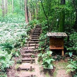 7月18日(日) 低山＆湖ハイキング