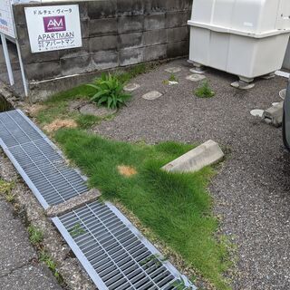 草取り＋除草剤散布お願いします。