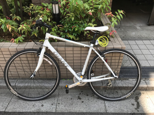 GIANT クロスバイク（ESCAPE   白）