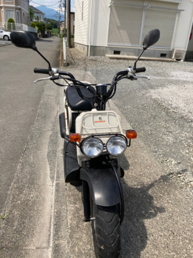 ホンダ　ズーマー50cc 白