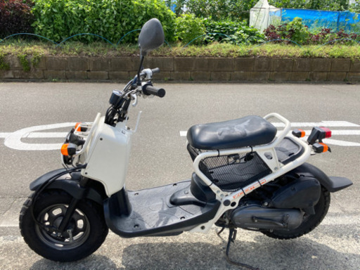 ホンダ　ズーマー50cc 白