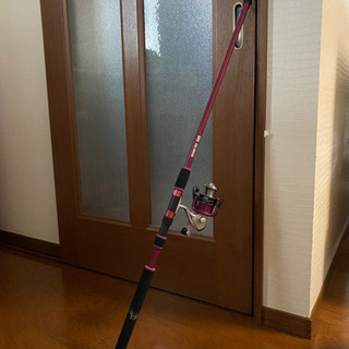 海でサビキ釣りしたいです。