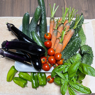 夏野菜　沢山
