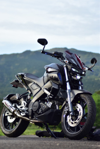 ヤマハ MT-15 2020年式 ABS 1500km以下！！