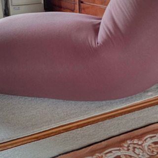 新品届いたばかり　アイリスオーヤマ　ビ-ンズMAXブラウン 値下げ可能の画像