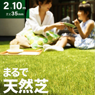 【急募】芝生取り、除草シート、人工芝シートはりお願いします🍀