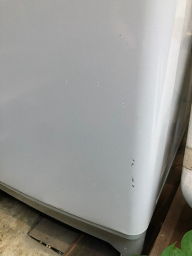 2019年式　TOSHIBA 洗濯機