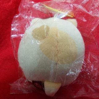 【新品未使用、未開封】すみっコぐらし 名古屋の画像