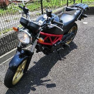 ＶＴＲ２５０