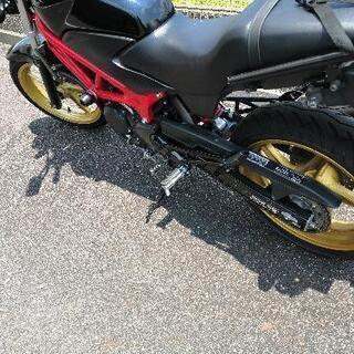 ＶＴＲ２５０の画像