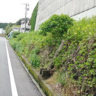 草刈り作業員大募集!!　日払いOK!!