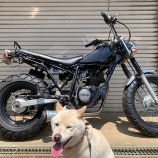購入者決定　tw200 2JL エンジン始動　書付　日立南太田ic